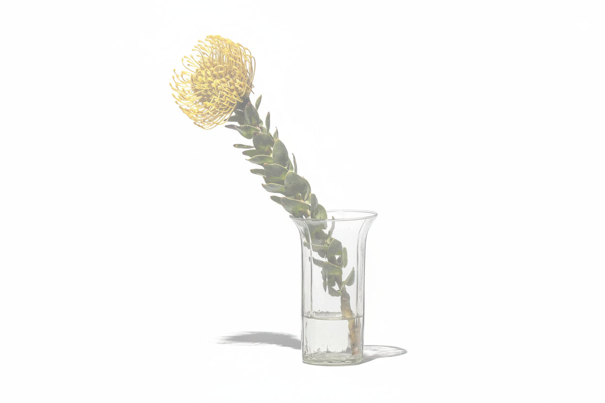 Recycled glass vase by Puebco, clear and smooth with a rounded shape, suitable for floral arrangements or decorative display.