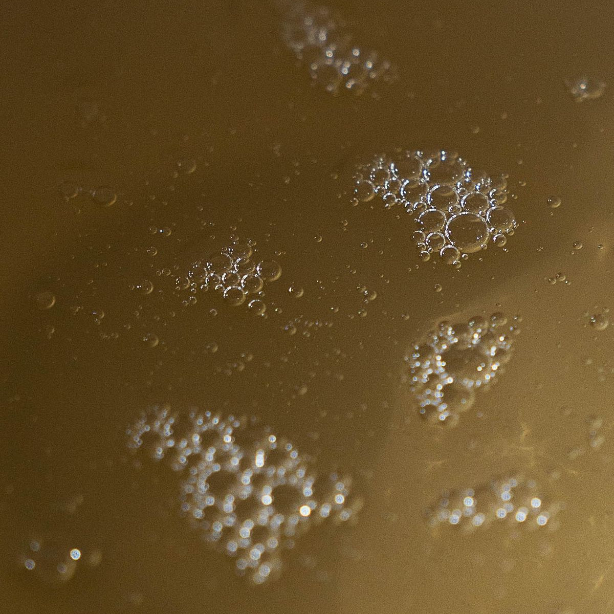 Coconut scented hand soap in a clear pump bottle, part of The Refill Shoppe's bath and body collection.