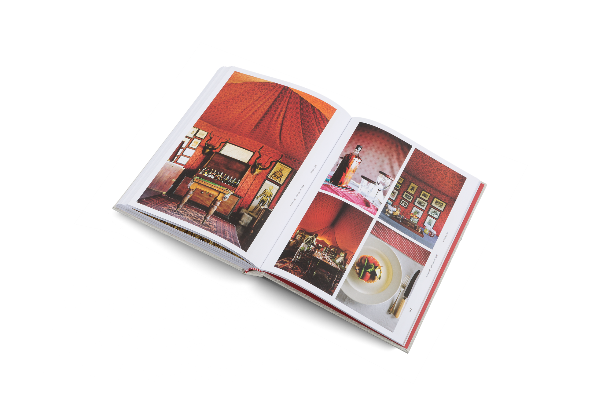 Cover of "Remote Places To Stay" book by Gestalten & teNeues, featuring a scenic landscape photograph on the front.