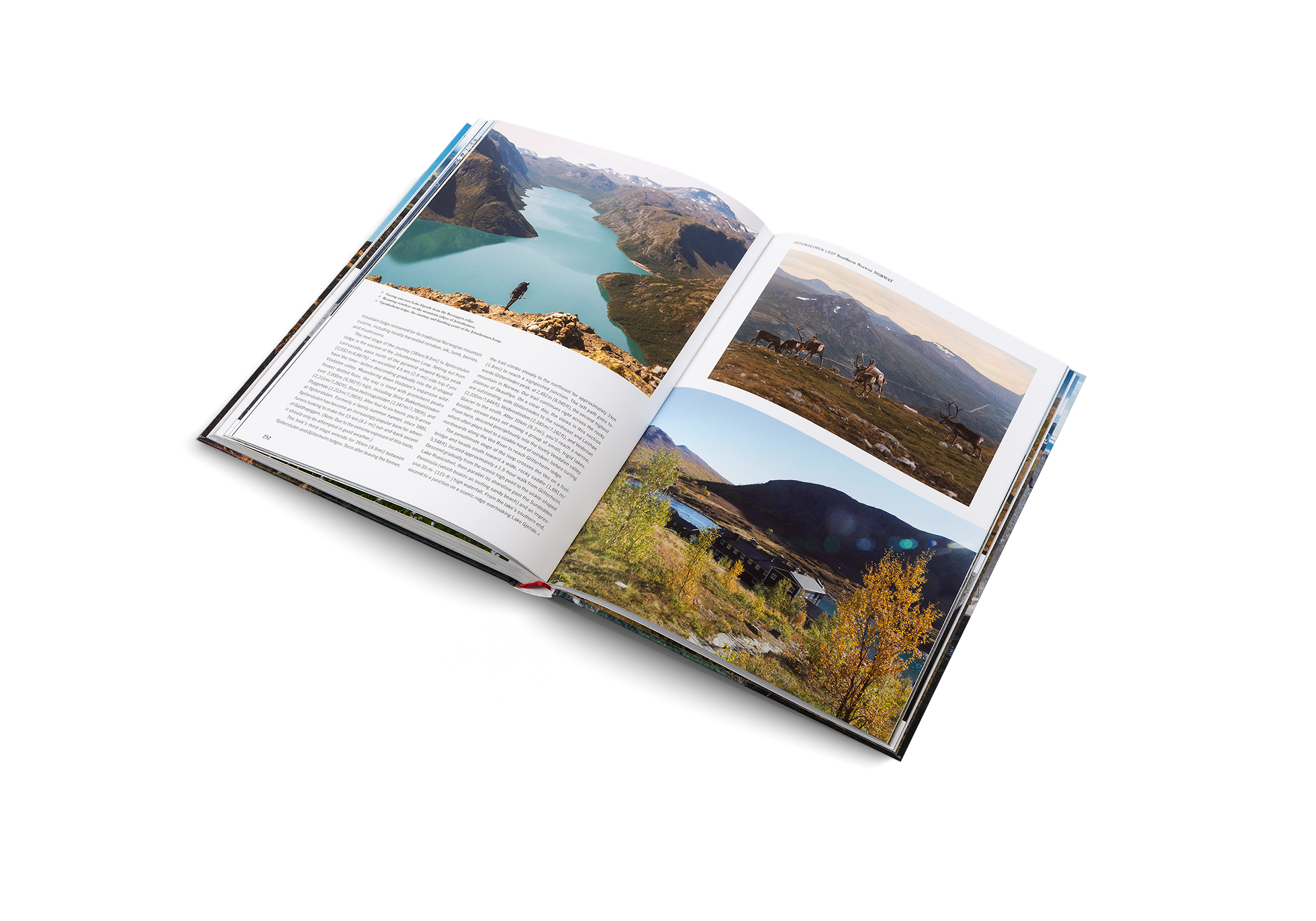 Wanderlust Nordics book by gestalten & teNeues featuring Nordic landscapes and travel photography on the cover.