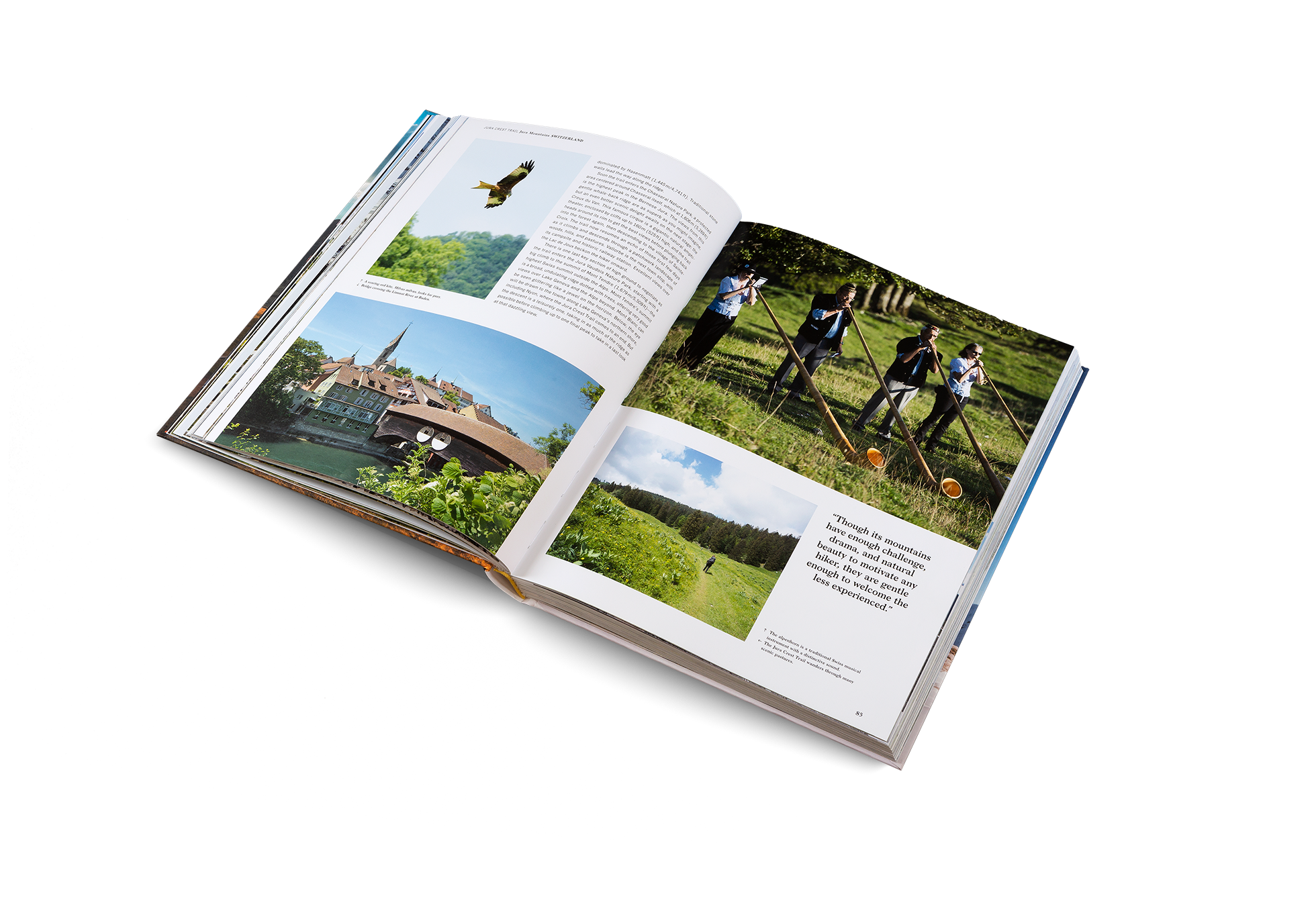 Open book titled Wanderlust Alps by gestalten & teNeues, featuring scenic mountain landscape photography on pages.
