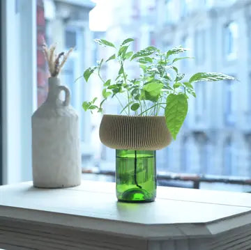 Flower pot Zini by Stuart Studio, ceramic planter with a glossy finish and modern design, shown on a wooden surface.