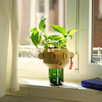 Flower Pot Stuart