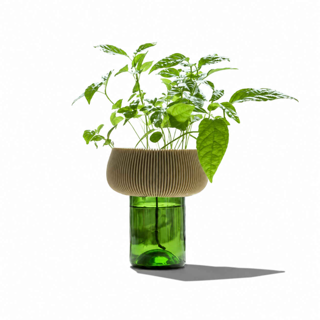 Stuart Studio Flower Pot Zini in white ceramic with rounded shape and decorative textured surface for indoor plants.