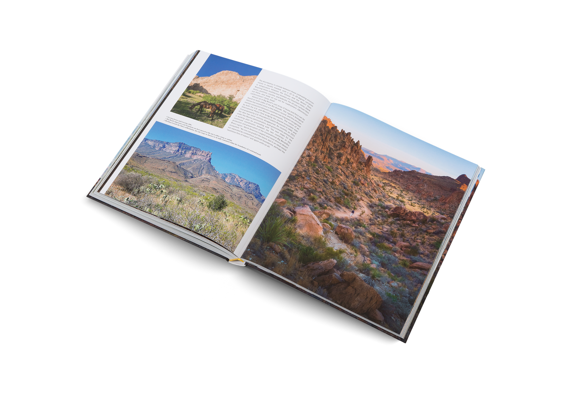 Wanderlust USA book cover by gestalten & teNeues featuring a vibrant collage of American landscapes and cityscapes.