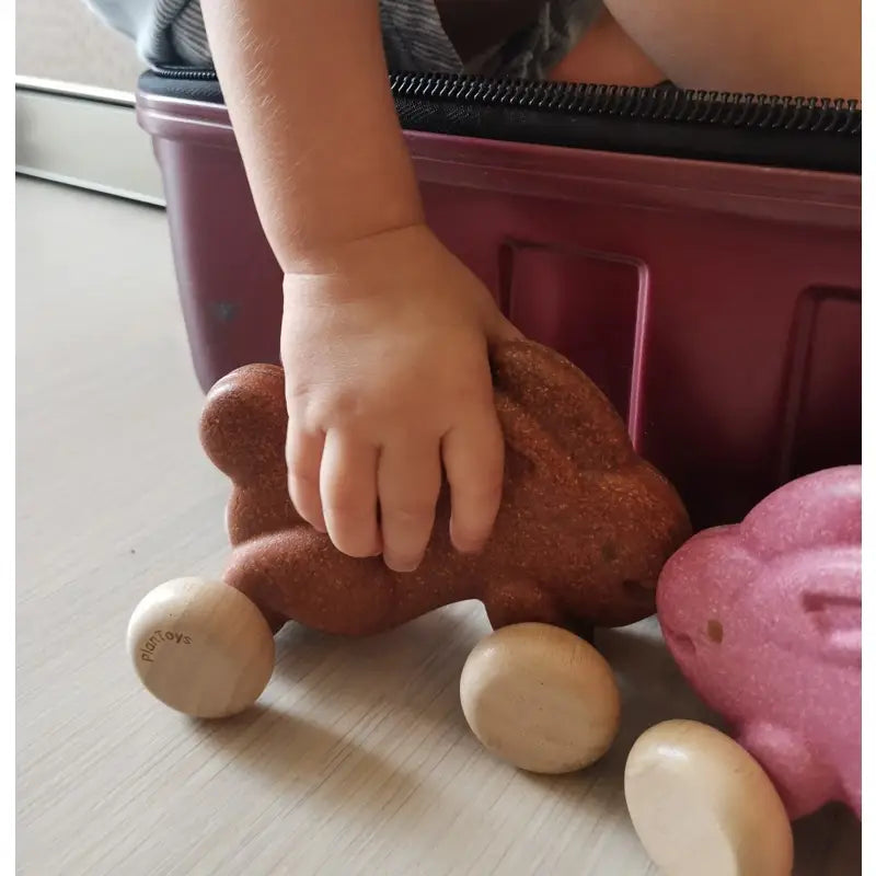 PlanToys Bunny Play set featuring a wooden bunny figure and accessories for imaginative play.