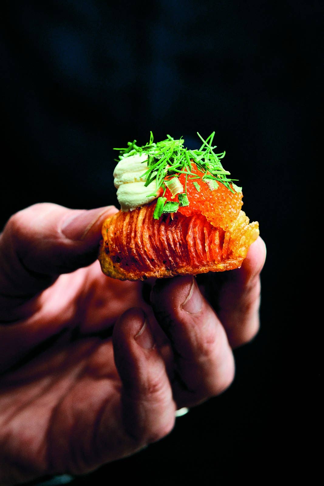 Book titled "Potato Total" by gestalten & teNeues featuring vibrant cover design and artistic photography.