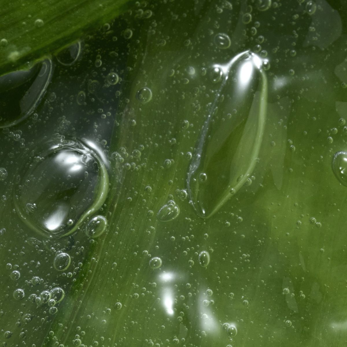 Aloe Eye Gel by The Refill Shoppe in a clear jar, featuring a soothing gel with aloe vera for under-eye skincare.